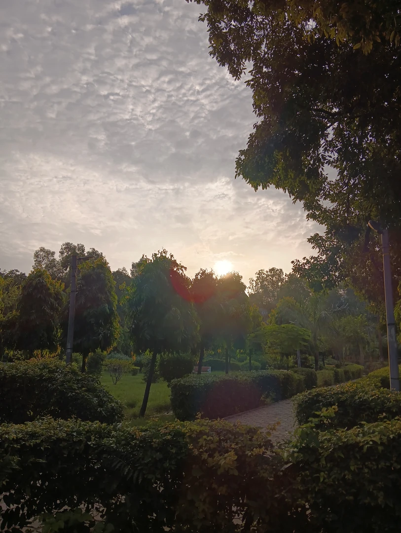 सुबह के समय पार्क का दृश्य